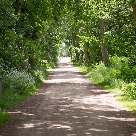 Wohnen Am Suedstrand - 1 3 Wyk auf Föhr