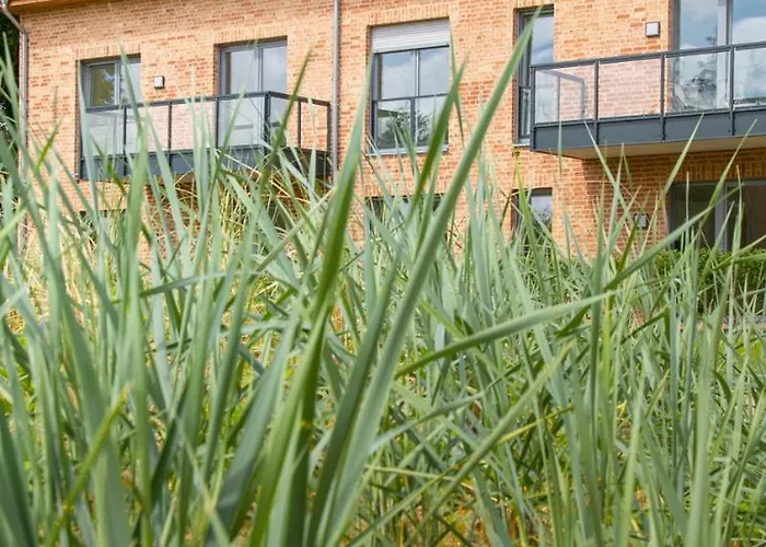 Wohnen Am Suedstrand - 1 3 Lägenhet