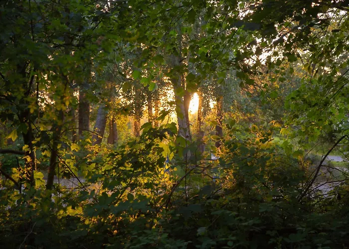 Wohnen Am Suedstrand - 1 3 Wyk auf Föhr