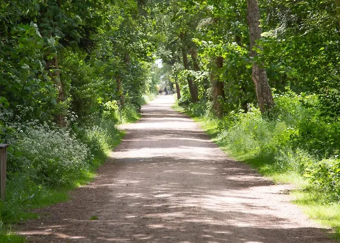 Wohnen Am Suedstrand - 1 3 Wyk auf Föhr