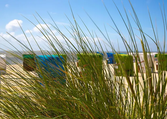 Wohnen Am Suedstrand - 1 3 * Wyk auf Föhr
